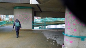 Valentine's Intervention - P1100030