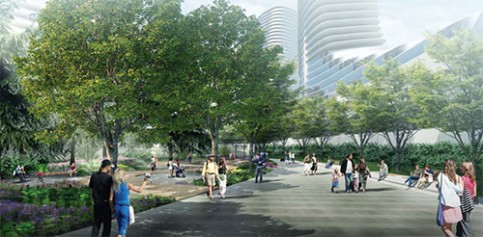 Oakridge - Woodland - Concept