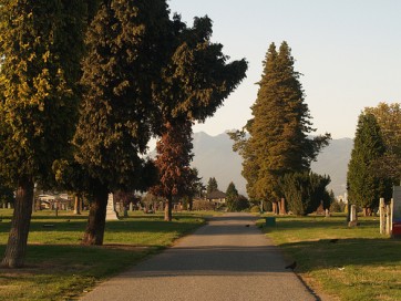 3949043197_f41b1263b5