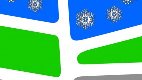 VPSN Snowflake Logo - Quick