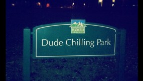 Dude Chilling Park sign