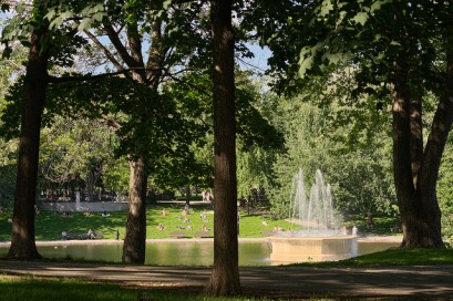 Photo: Mire de rien