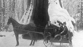 Horse drawn sleigh in front of the Hollow Tree ca 1900s. (CoV Archives)