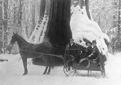 Horse drawn sleigh in front of the Hollow Tree ca 1900s. (CoV Archives)
