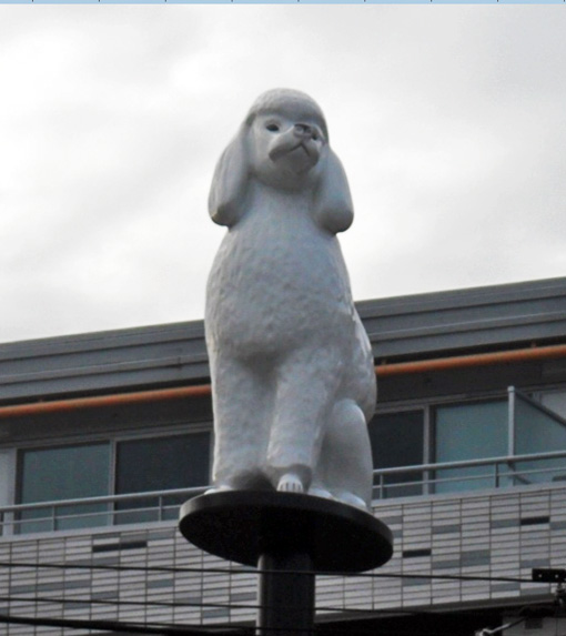 Immortalized Pooches The Main Street Poodle and Dirty Biter Vancouver Public Space Network