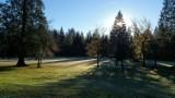 Mid-meadow_jpg (1)