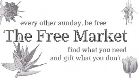 19800811_838359753004538_6164971260233462903_o