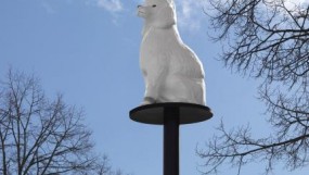Poodle - Rachel Topham