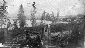 1886 - SGN 155 - [Partially cleared area around ]Vancouver Harbor