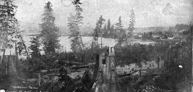 1886 - SGN 155 - [Partially cleared area around ]Vancouver Harbor